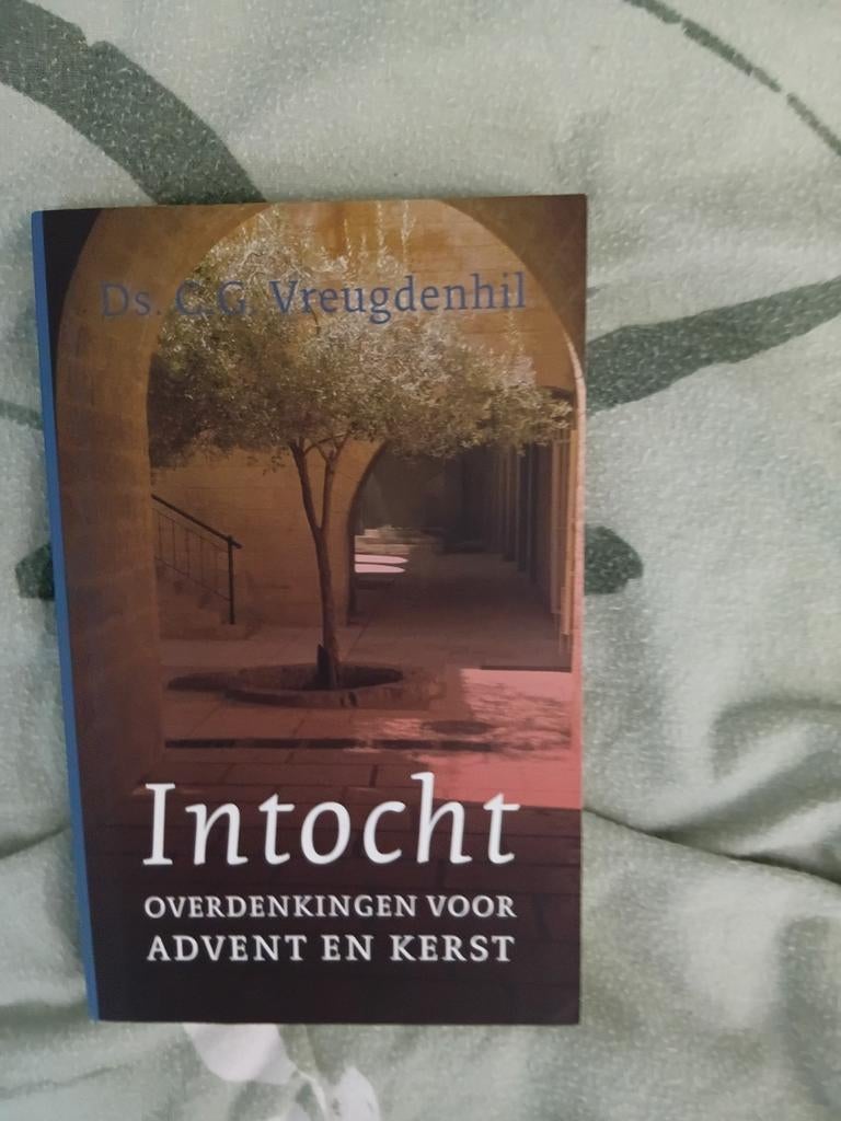 C.G. Vreugdenhil - Intocht, Ophalen of Verzenden, Zo goed als nieuw, C.G. Vreugdenhil