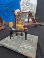 Te koop: ratatouille/ opgezette rat, Verzamelen, Dierenverzamelingen, Ophalen of Verzenden, Nieuw, Wild dier, Opgezet dier