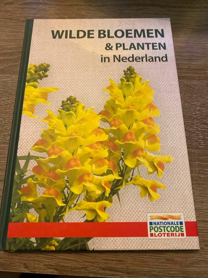 Wilde Bloemen & Planten in Nederland - Natuurgids, Boeken, Natuur, Zo goed als nieuw, Bloemen, Planten en Bomen, Ophalen of Verzenden