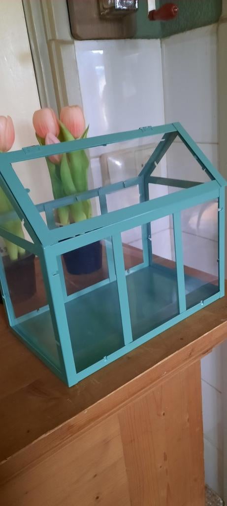 Decoratieve mini kas - Groen metaal en glas, Overige materialen, Kweekkas, Ophalen of Verzenden, Zo goed als nieuw