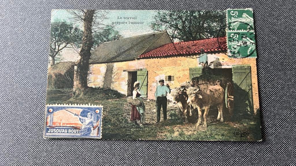 Ossenspan bij boerderij Frankrijk, Ophalen of Verzenden, Voor 1920, Gelopen, Overige thema's