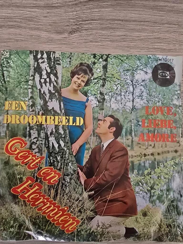 Gert en Hermien/ een droombeeld, Ophalen of Verzenden, Gebruikt, Overige formaten, Levenslied of Smartlap