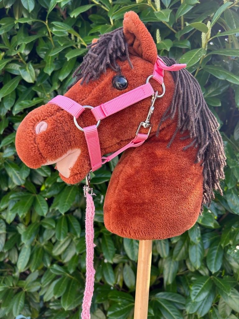 Hobbyhorse met accessoires, Ophalen, Jongen of Meisje