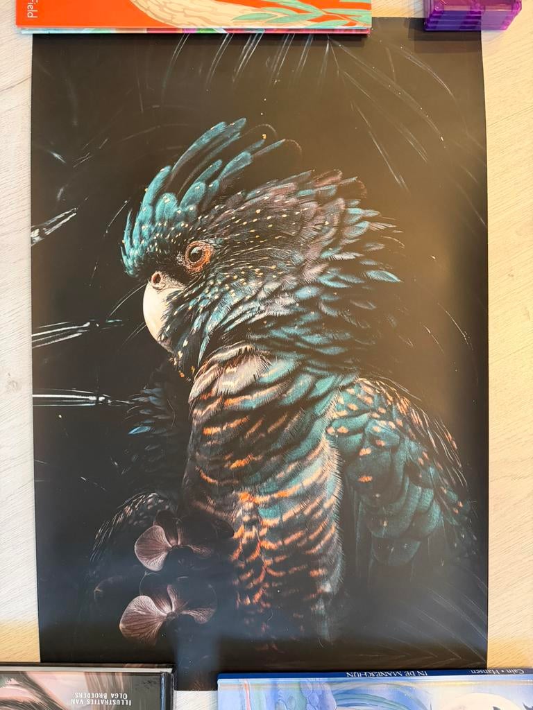 PosterJunkie Kaketoe - 40x60 cm - (Nieuwstaat), Ophalen