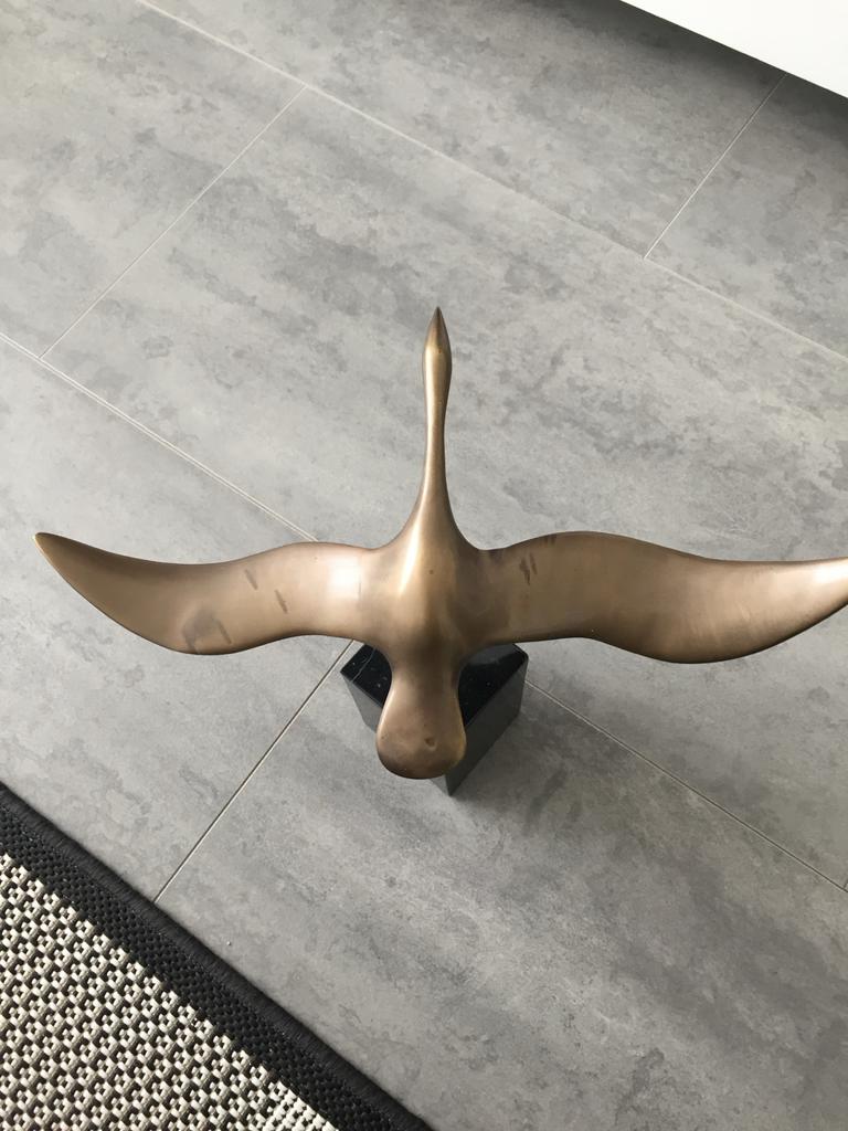 Stille Wachter Een vogel die rust. Niet vluchtend. Niet zoekend. Gewoon aanwezig. Zittend op een stuk hout, gedragen door de natuur zelf, straalt dit werk verstilling uit. Alsof het moment even wordt