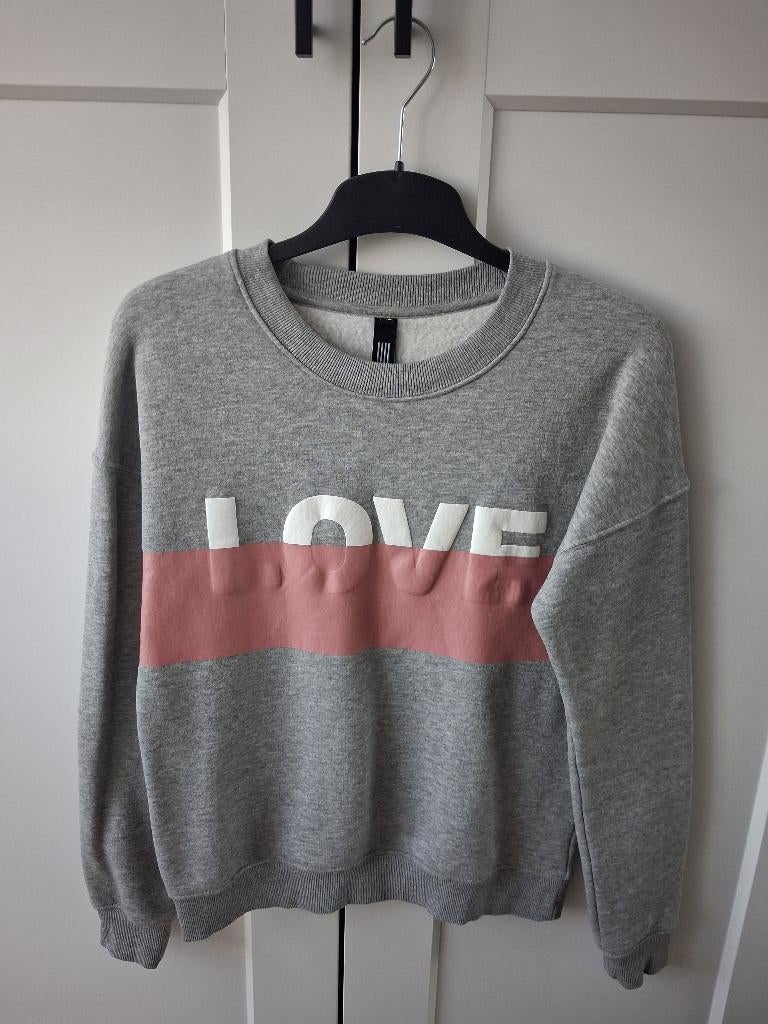 Amy & Ivy sweater grijs maat XS, Kleding | Dames, Ophalen of Verzenden, Maat 34 (XS) of kleiner, Grijs, Amy & Ivy