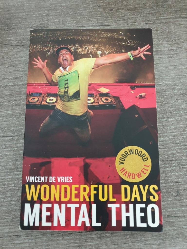 Wonderful Days Mental Theo - Vincent de Vries, Ophalen of Verzenden, Gelezen