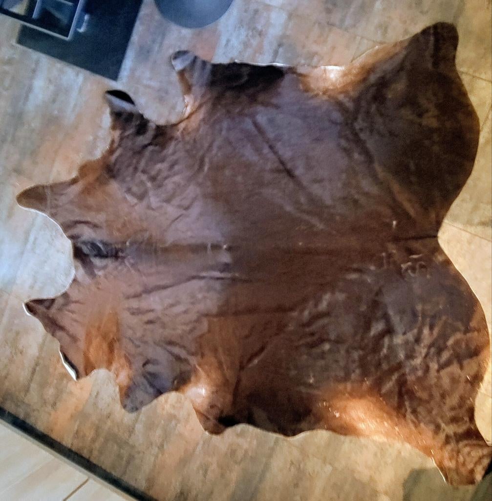 Donkerbruine koeienhuid, Huis en Inrichting, Stoffering | Tapijten en Kleden, Ophalen of Verzenden, 200 cm of meer, 150 tot 200 cm