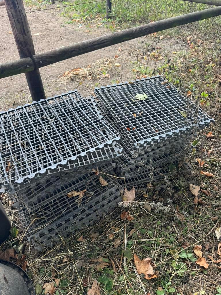 Paddock roosters, Dieren en Toebehoren, Ophalen of Verzenden, Gebruikt, Overige soorten