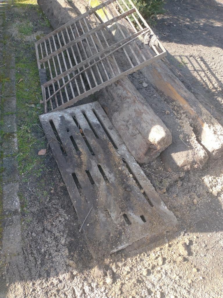 Gratis stalrooster., Mannelijk, Geit