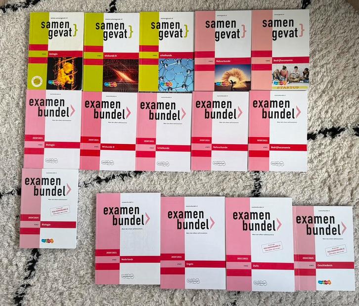 Samengevat & Examenbundel VWO (diverse vakken), Boeken, Studieboeken en Cursussen, Gelezen, Beta, Ophalen of Verzenden