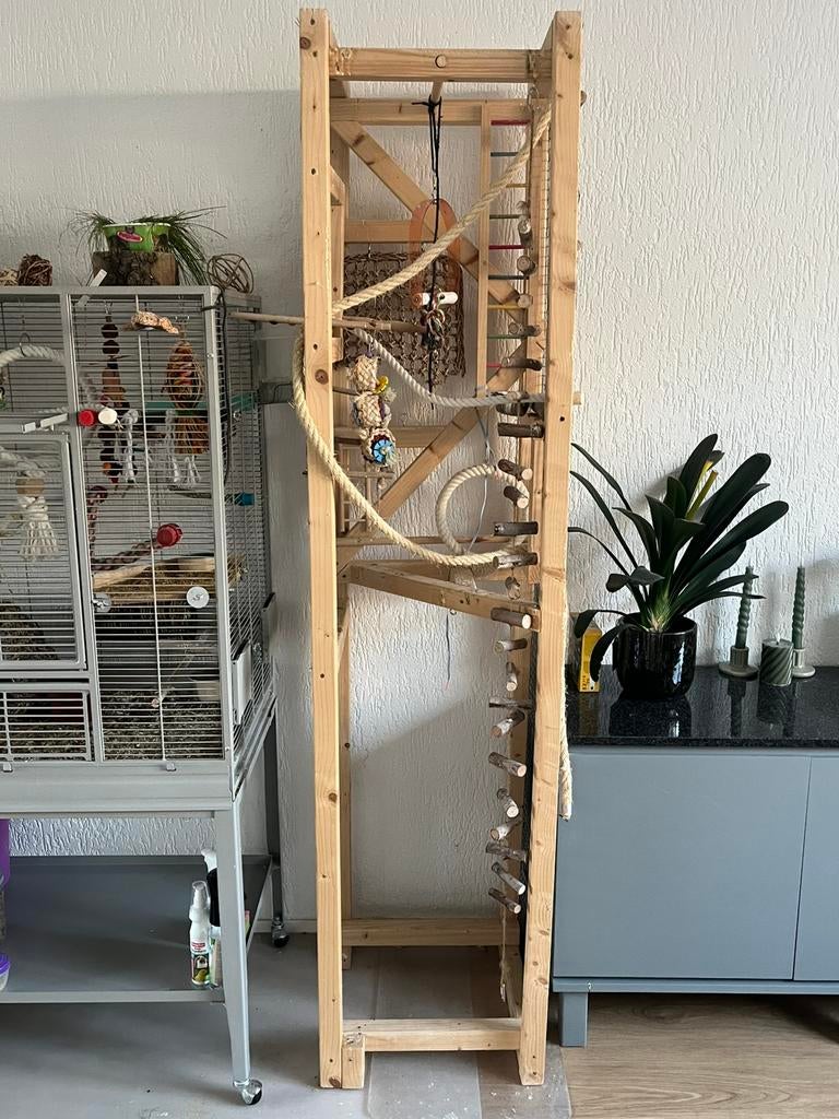 Vogel speelstandaard, Meerdere dieren, Parkiet
