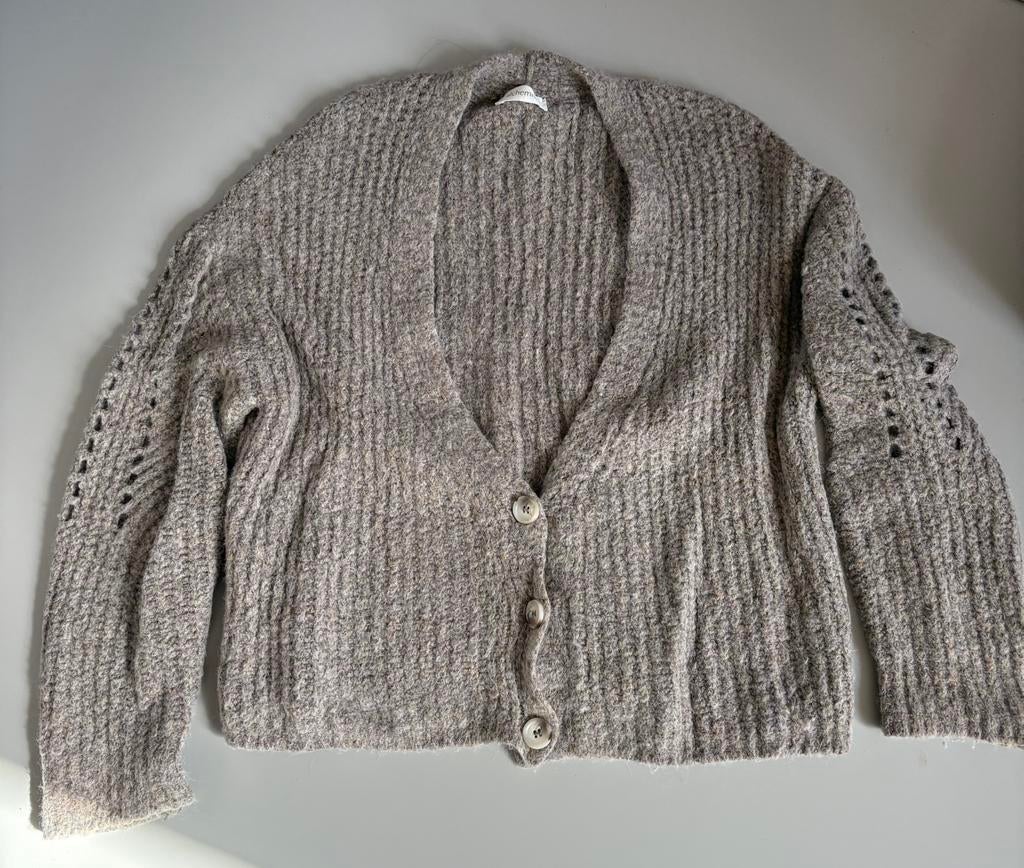 Taupe kleurig vest van Alchemist, Kleding | Dames, Ophalen of Verzenden, Zo goed als nieuw, Maat 36 (S), Bruin