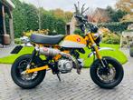 Als nieuw! Honda Monkey Z 125 vol opties, Fietsen en Brommers, Minibikes, Midibikes en Pitbikes, Ophalen, Zo goed als nieuw, Overige typen