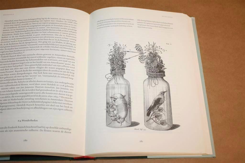 Doodskunstenaar Anatomische lessen Frederik Ruysch, Ophalen of Verzenden, Gelezen, Natuurwetenschap