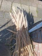 Pluimen gratis, Ophalen, Nieuw