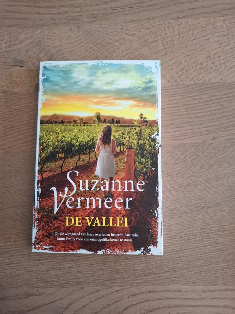 De vallei, Boeken, Historische romans, Ophalen of Verzenden, Zo goed als nieuw, Suzanne Vermeer