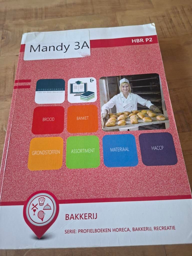 J. Pen - HBR P2, J. Pen, Ophalen of Verzenden, Zo goed als nieuw, Nederlands