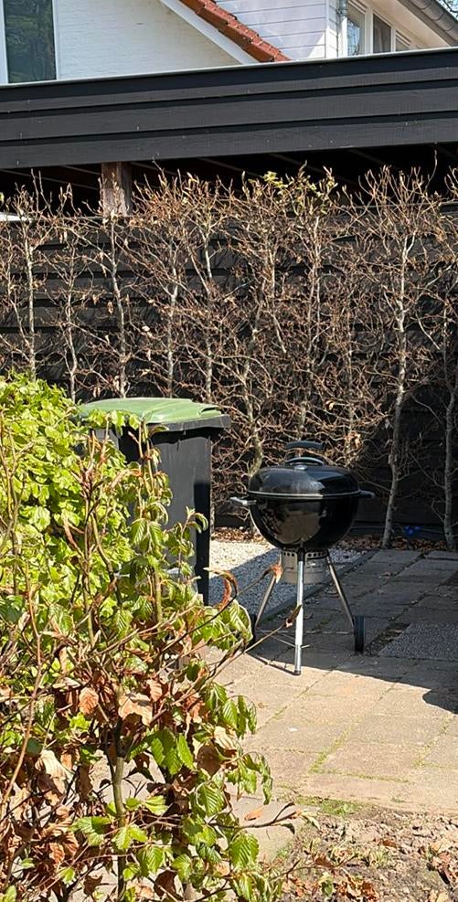 BBQ Weber, Tuin en Terras, Vogelhuisjes en Vogelbaden, Ophalen, Gebruikt