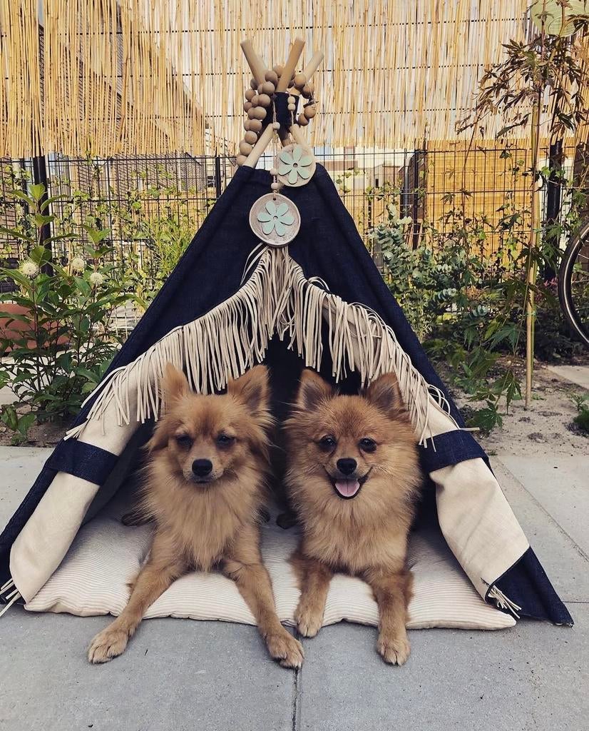 Tipi tent hond, Ophalen of Verzenden