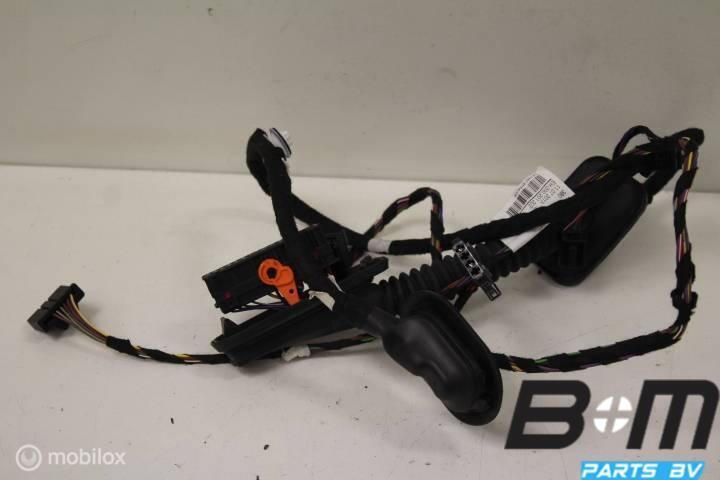 Kabelboom rechts achter deur Volkswagen Polo 6C, Gebruikt