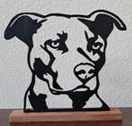 Pitbull, Ophalen of Verzenden