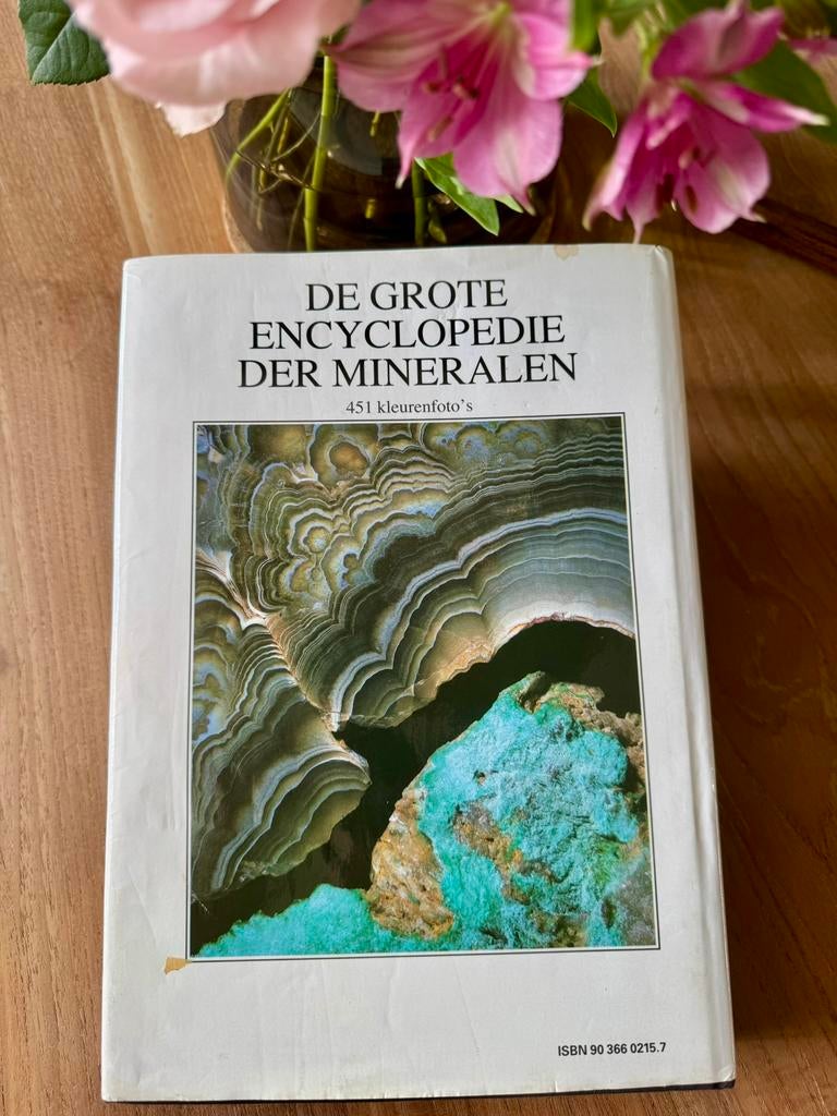 REBO Grote encyclopedie Mineralen, Boeken, Ophalen of Verzenden, Zo goed als nieuw, Achtergrond en Informatie