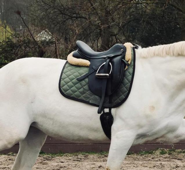 Ideal dressuurzadel Vivian, Dieren en Toebehoren, Paarden en Pony's | Zadels, Ophalen of Verzenden, Gebruikt, Dressuur