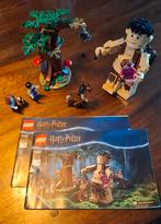 Lego Harry Potter 75967 Verboden Bos: Umbridge's Ontmoeting, Ophalen of Verzenden, Zo goed als nieuw, Complete set, Lego