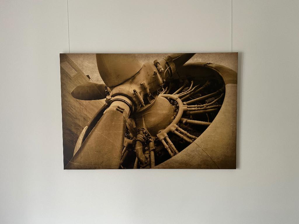 Canvas Schilderij, Ophalen, Zo goed als nieuw, Schilderij, 100 tot 125 cm