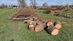 Wilgenhout stookhout - diverse hopen, Minder dan 3 m³, Ophalen