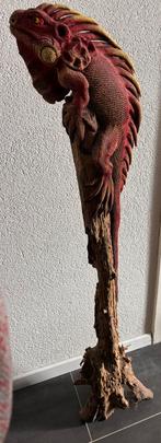 Te koop mooie handgemaakte houten leguaan. Afm120 cm hoog., Ophalen