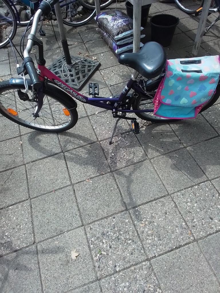 Pegasus Meisjesfiets, Fietsen en Brommers, Ophalen, Velgrem, Versnellingen, Gebruikt