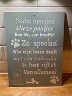 K33-NIEUW decoratief wandbord Labrador 30x40cm, Ophalen of Verzenden, Nieuw