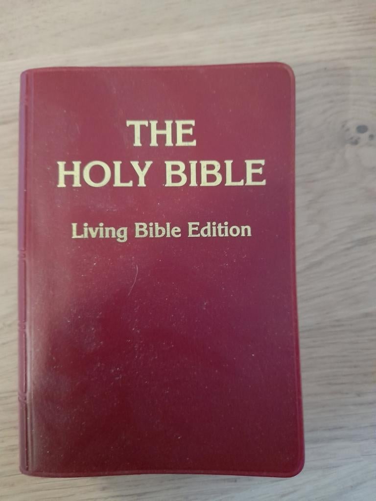 Engels bijbeltje, Ophalen of Verzenden