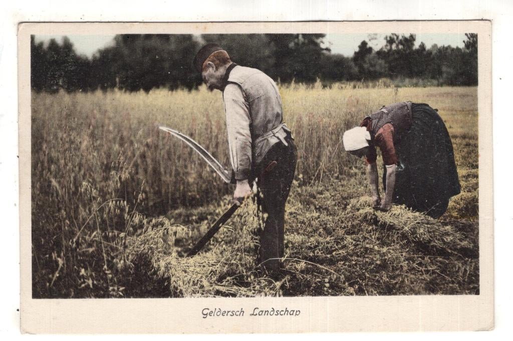 Veluwe  Veldwijk Dorpsleven   1918 Klederdracht, Verzenden, Voor 1920, Gelopen, Gelderland