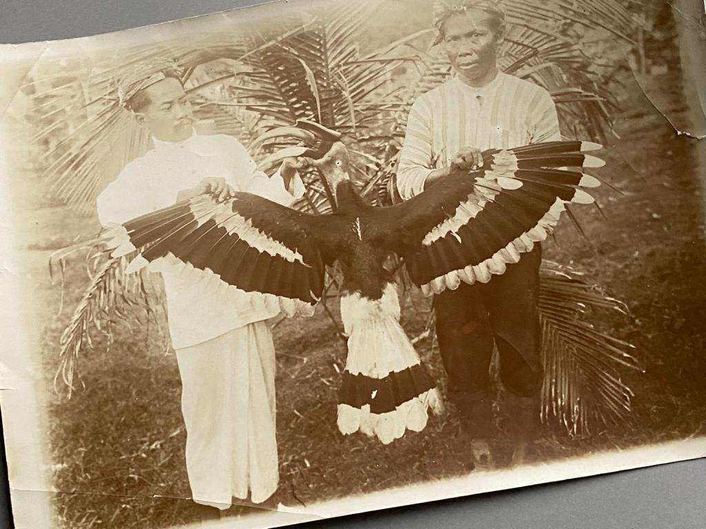 2 oude foto’s uit Nederlands Indië (neushoornvogel / trein), Verzamelen, Gebruikt, Foto, Voor 1940, Buitenland