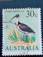 Australische postzegel: Strohalsibis 30c, gestempeld, Ophalen of Verzenden, Gestempeld