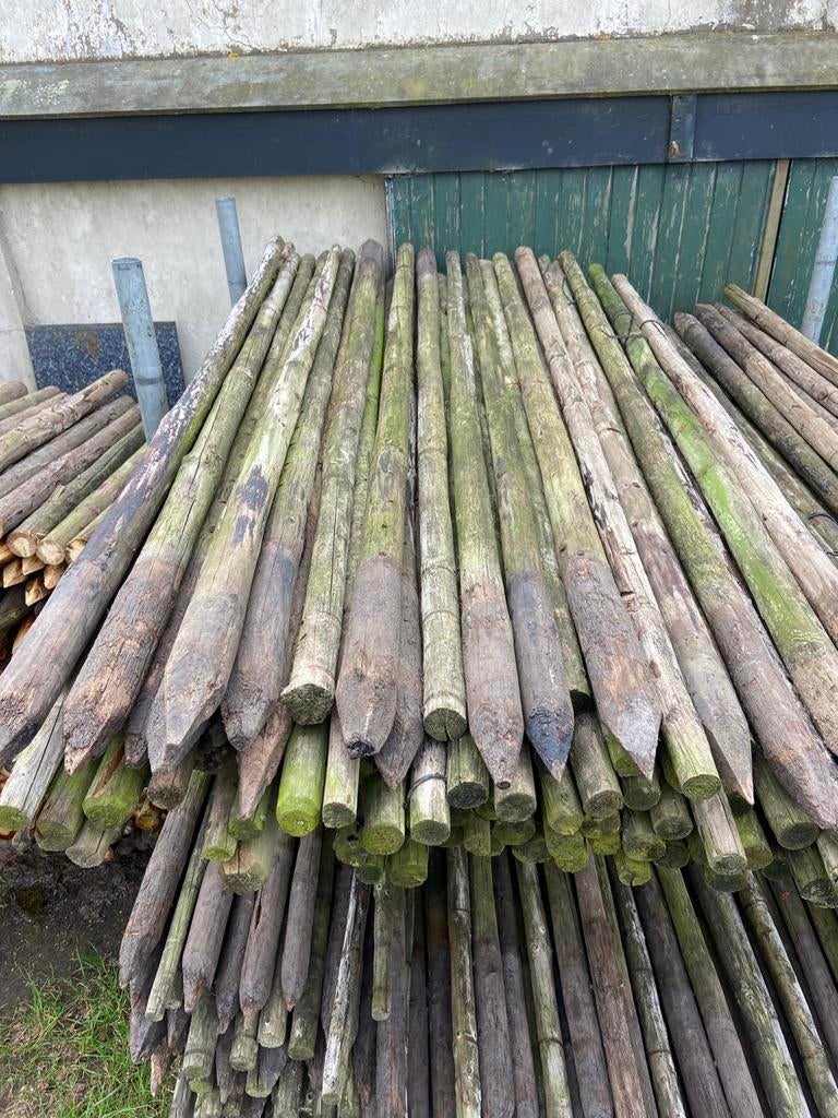 Boompalen 7x250 cm, Ophalen, Zo goed als nieuw, 250 cm of meer, Palen