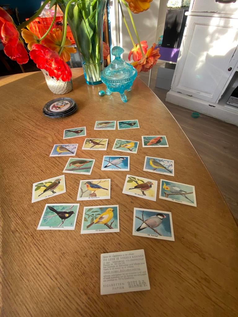 Oude Rizla plaatjes vogels om in een album te plakken, Ophalen of Verzenden, Zo goed als nieuw, Plaatjesalbum