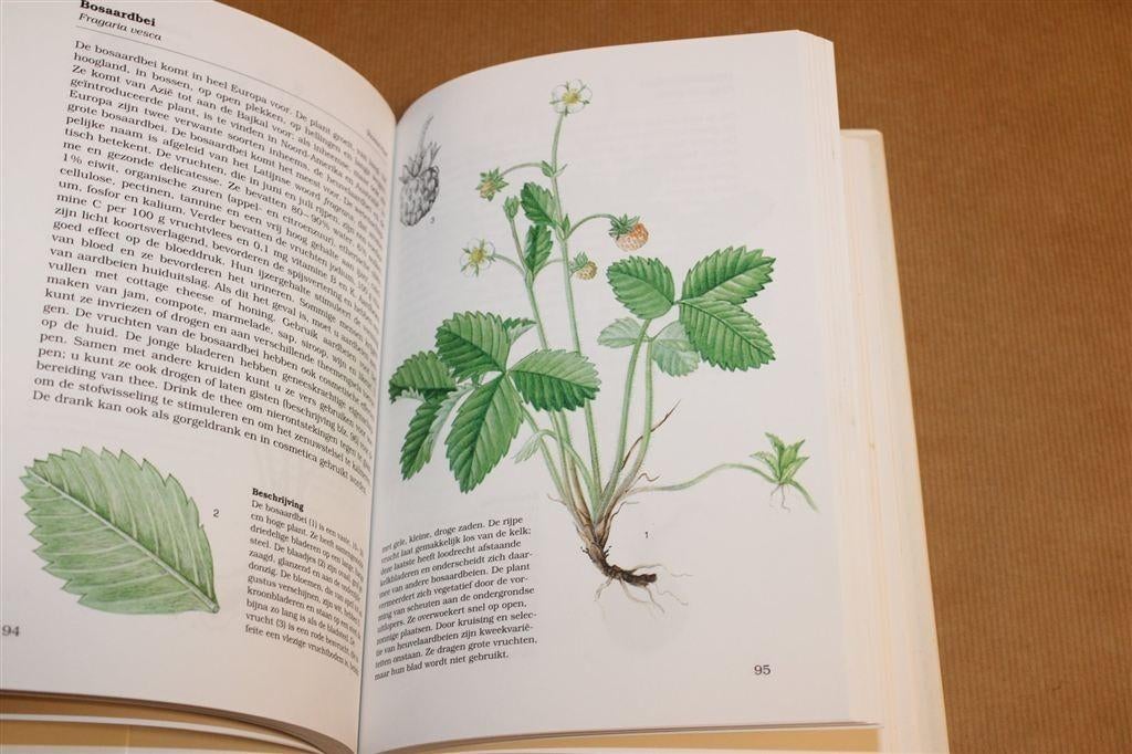 Eetbare Planten — 100+ Soorten & Gebruik Natuurgids, Ophalen of Verzenden, Gelezen, Bloemen, Planten en Bomen