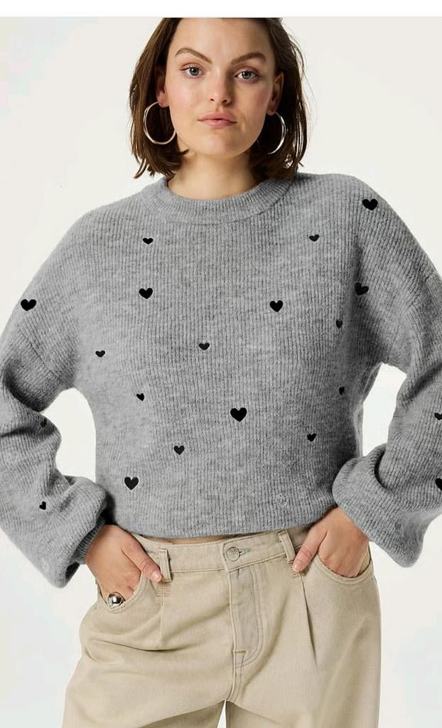 Fabienne Chapot Lidia pullover/ trui maat XL *nieuw *, Fabienne Chapot, Ophalen of Verzenden, Nieuw, Grijs