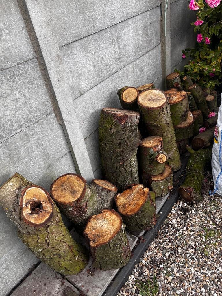 Stookhout/brandhout kastanje, Tuin en Terras, Haardhout, Minder dan 3 m³, Ophalen, Overige houtsoorten, Blokken