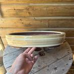 Bonsai schaal ovaal, Steen, Minder dan 30 cm, Ophalen of Verzenden, Zo goed als nieuw