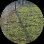 Stalling gezocht!!, Weidegang