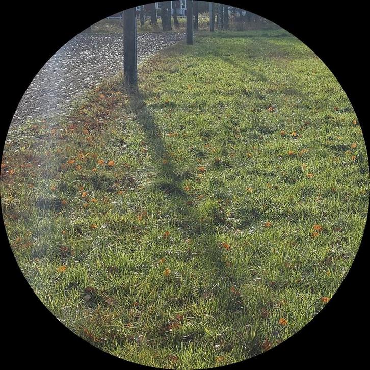 Stalling gezocht!!, Dieren en Toebehoren, Stalling en Weidegang, Opfok, Stalling, Weidegang