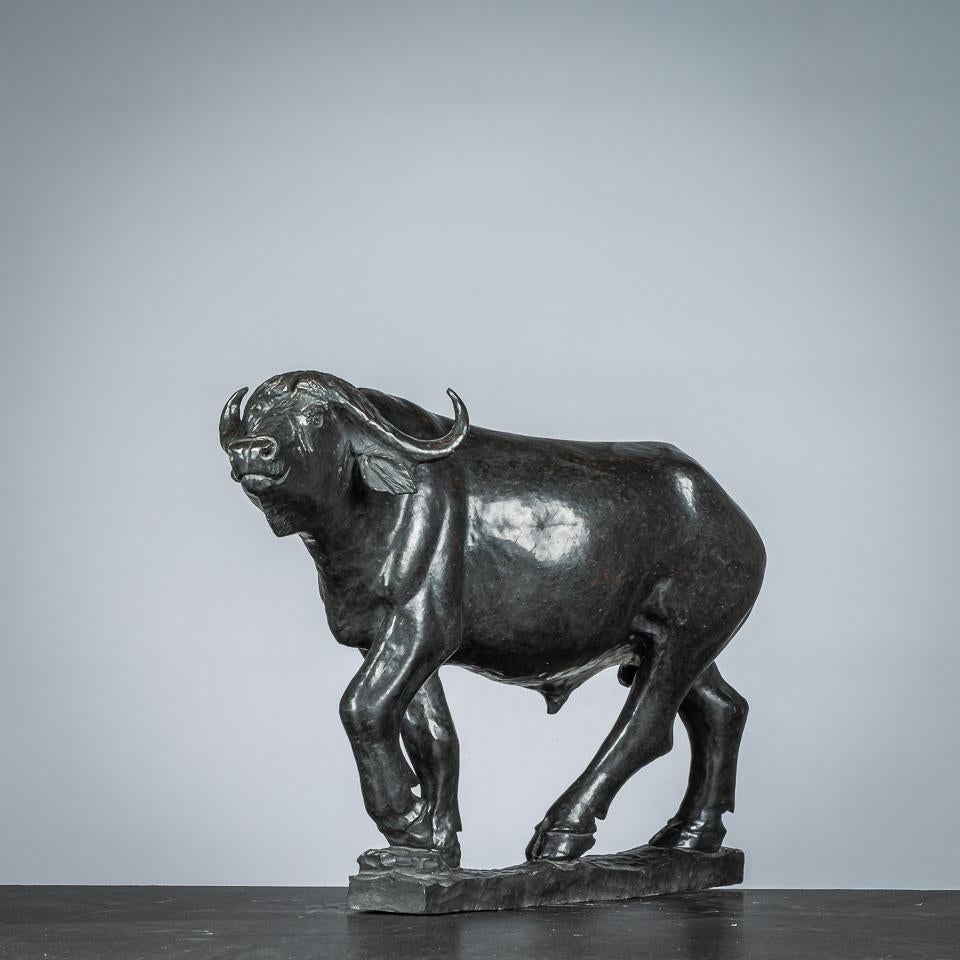 beeld: Buffel, Ophalen of Verzenden