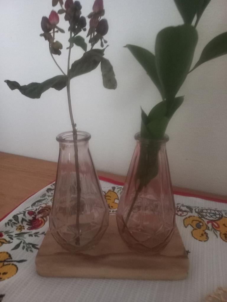 Kleine dubbele gekleurde vaasjes, Gebruikt, Overige kleuren, Ophalen of Verzenden, Glas