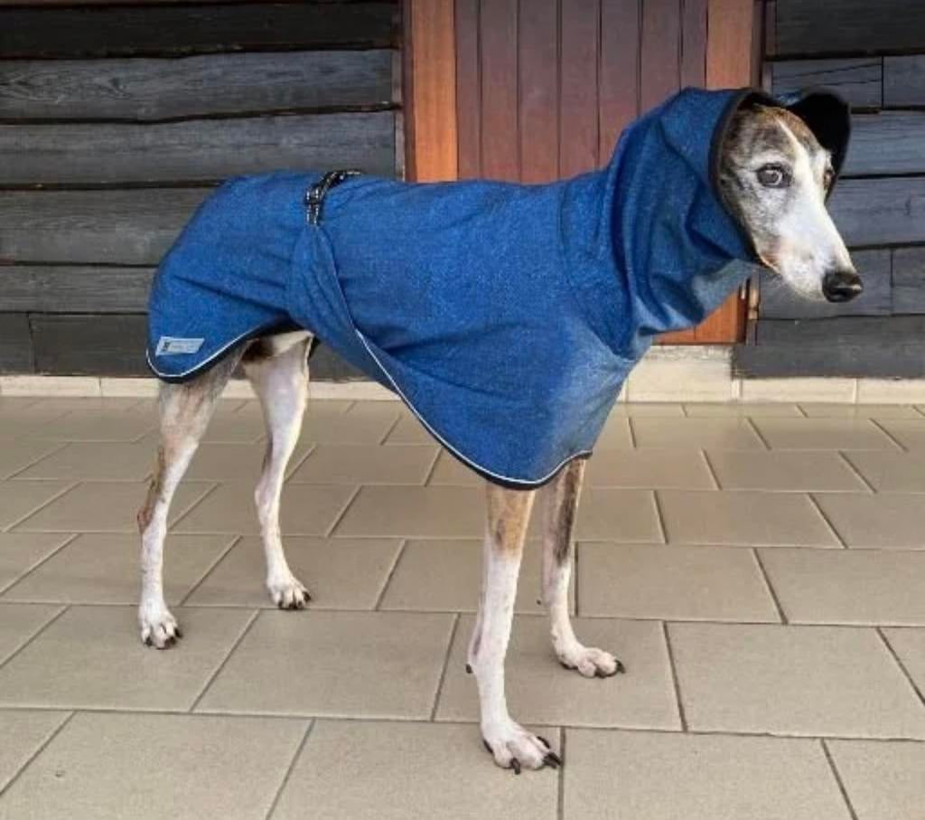 Holly Loo hondenjas jas hond Whippet Greyhound etc, Dieren en Toebehoren, Ophalen, Nieuw, Hondenjas