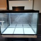 Aquarium 38x50x78 zgan. Incl. Verlichting twv 65 euro, Dieren en Toebehoren, Vissen | Aquaria en Toebehoren, Ophalen, Zo goed als nieuw
